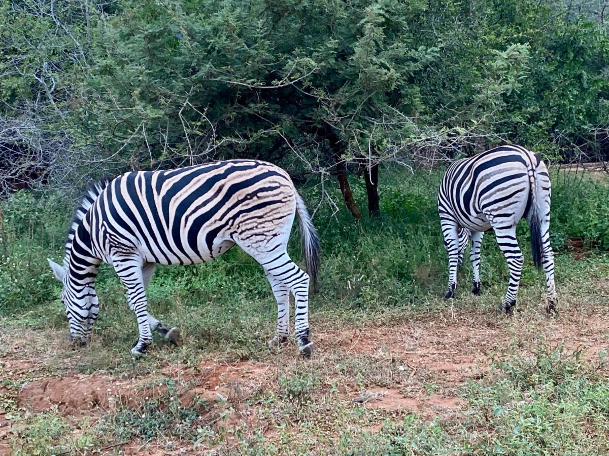 Rhinos Rest Holiday home Marloth Park