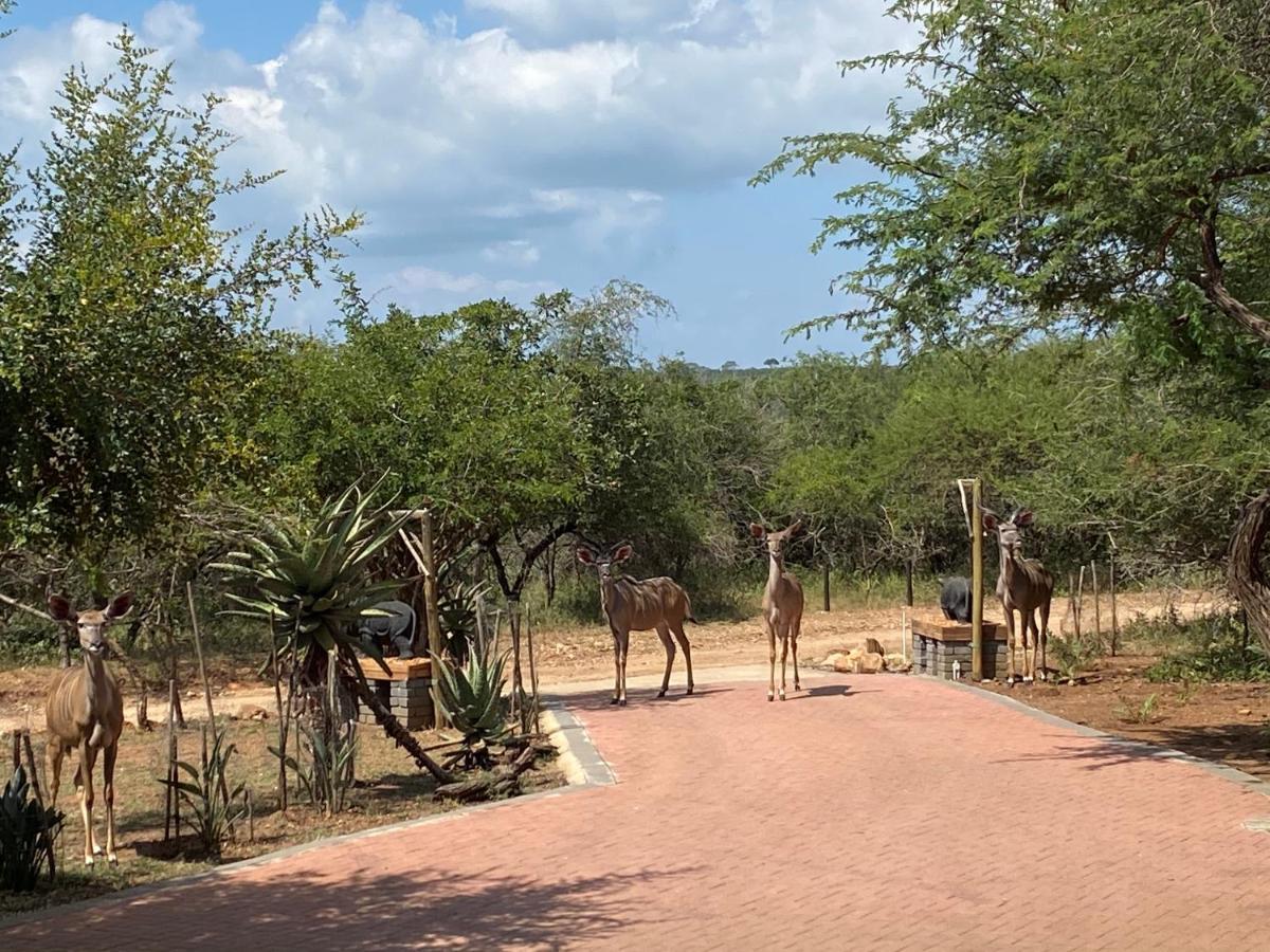Rhinos Rest