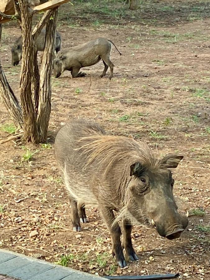 Rhinos Rest Holiday home Marloth Park